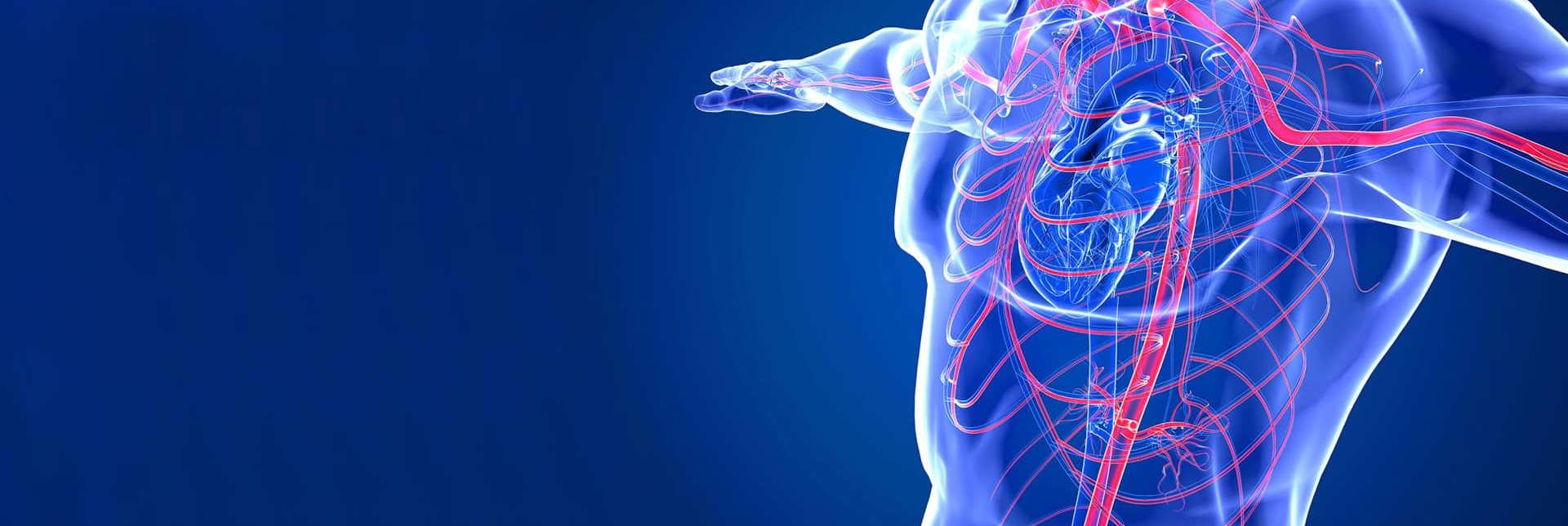 Vascular Medicine Surgery Webpage