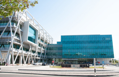 Vascular PRL_HP Building